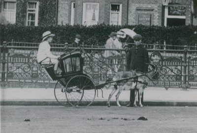 Transporte tirado por cabras de English Photographer